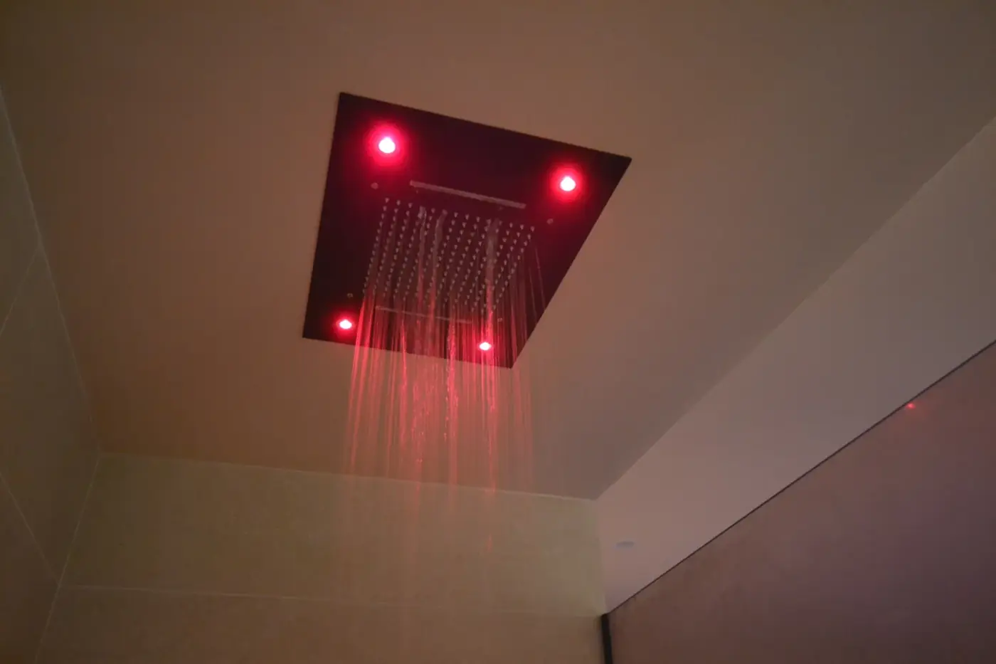 Douche : vue du plafond