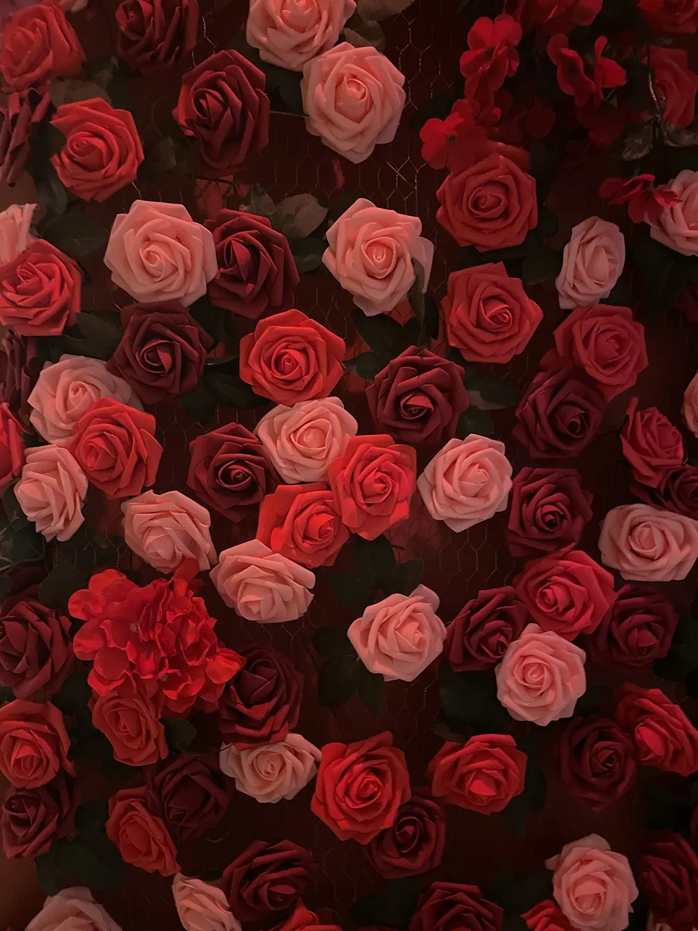 Détail du mur de roses